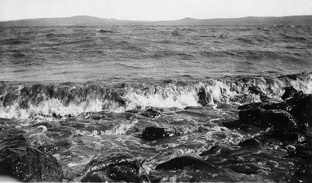 Upper end of Mormon Lake